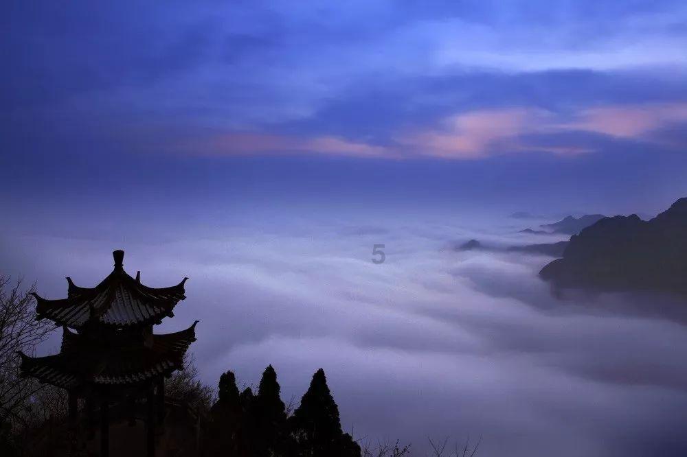 怎样泡生姜好吃——专业问答类网站