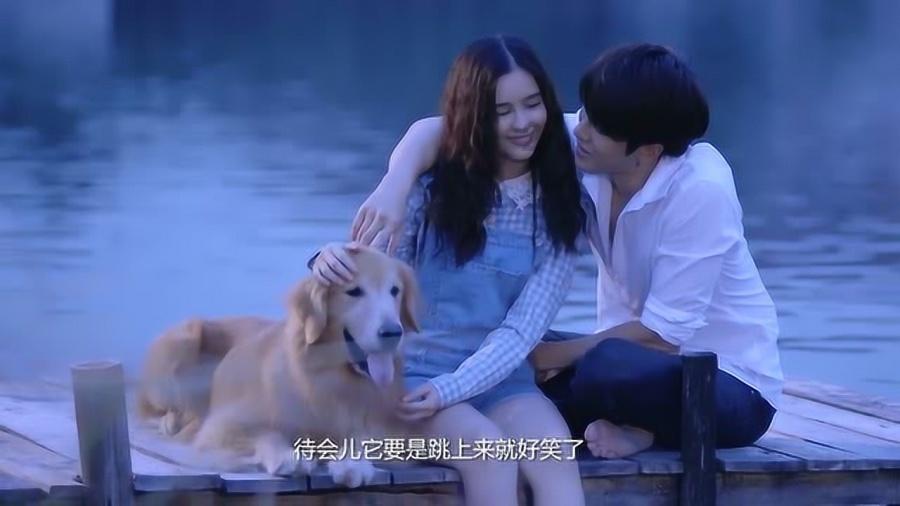蓝狐视频